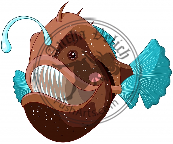 Angler Fish