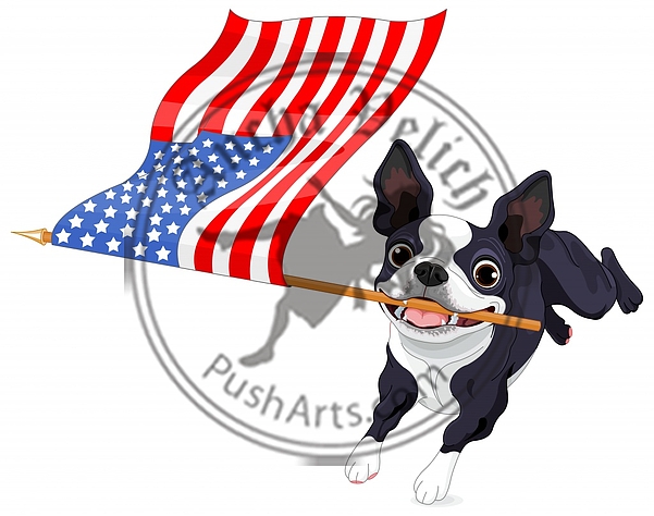 Boston Terrier Running Flag Boston Terrier Running Flag