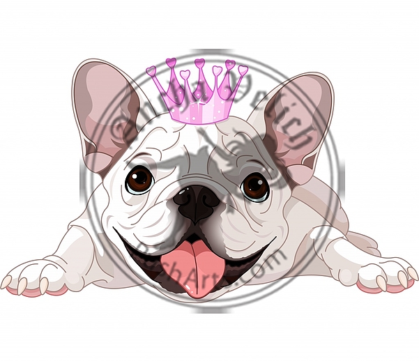 Royalty bulldog