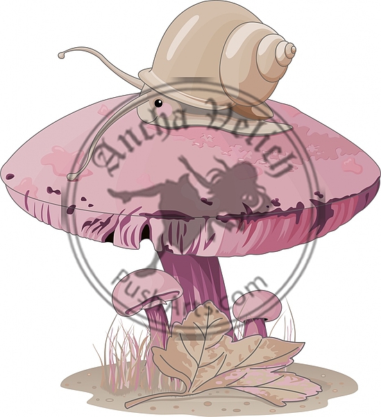 Mushroom snail