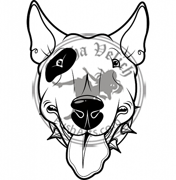 Bull Terrier – Pusharts | Images & Illustration by Ania Velichkovsky