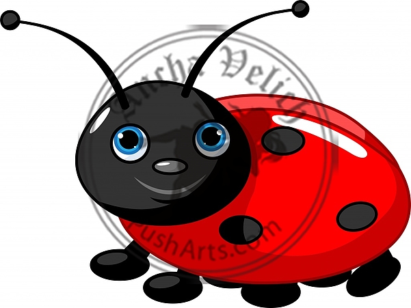 Ladybug