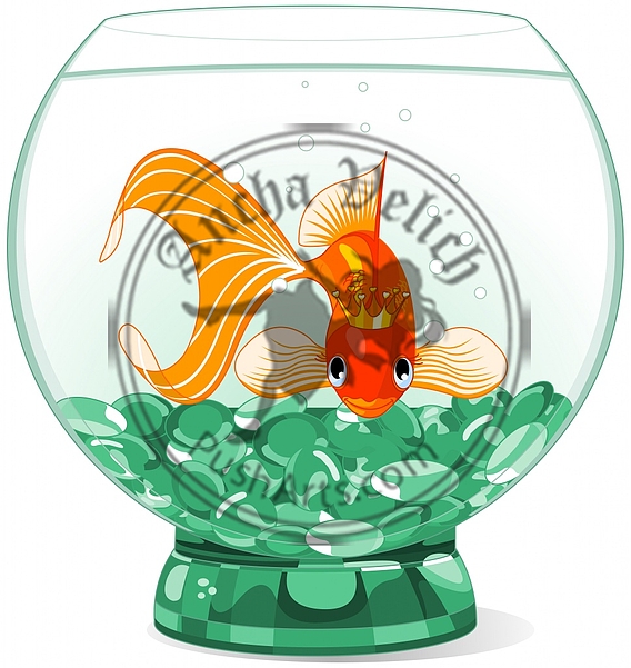 Goldfish in the aquarium