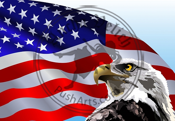 Bald Eagle American Flag