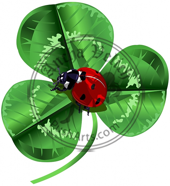 St. Patrick Day Three Leafed Clover and ladybug