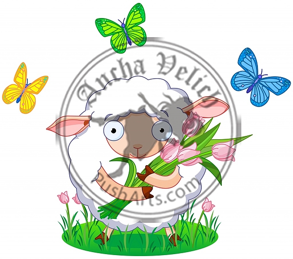 Spring sheep