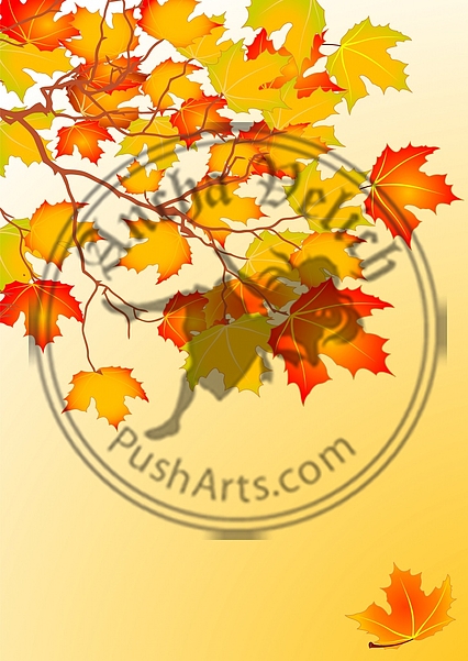 Autumn leaves background Autumn leaves background