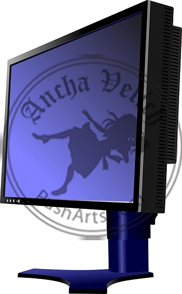 Flat computer monitor;  Display