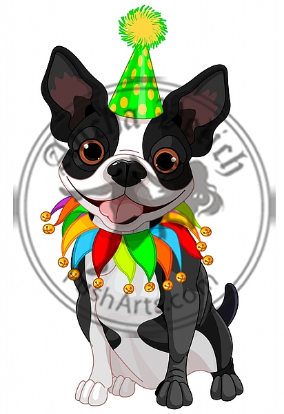 Boston Terrier Birthday