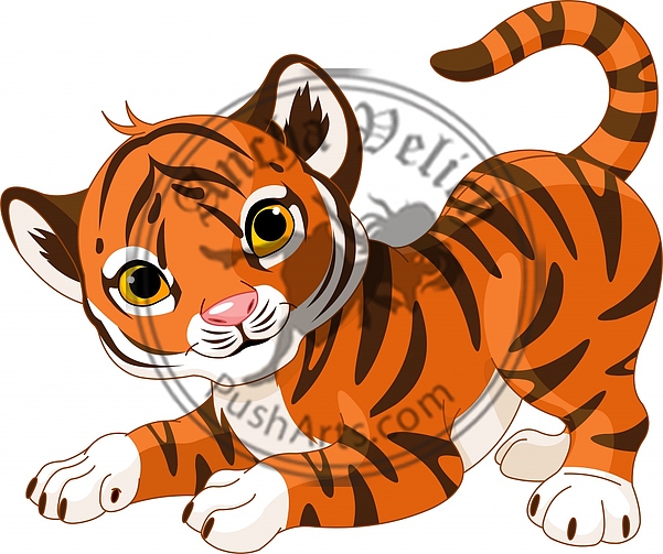 Playful tiger cub
