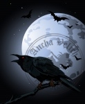 Crow  against a full moon