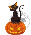 Halloween Cat on Pumpkin