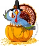 Thanksgiving Turkey in the pumpkin