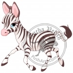 Cute running baby Zebra