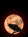 Crow Croaks against a Full Moon