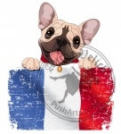 French bulldog fan