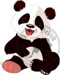 Baby Panda laughing