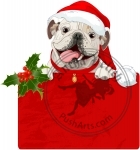 Christmas English bulldog