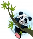 Giant panda climbing tree