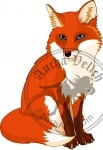 Cute  fox