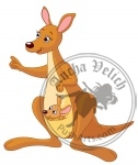 Cartoon Kangaroo and Joey