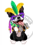 Mardi Gras Boston Terrier
