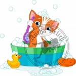 Cat having a  bath