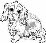 Cavalier King Charles Spaniel Coloring Page