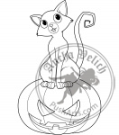 Halloween Cat on pumpkin coloring page