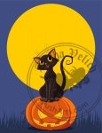 Halloween Cat on pumpkin