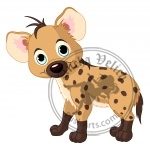 Baby Boy Hyena