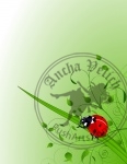 Green background with  ladybug