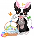 Boston terrier with Easter basket
