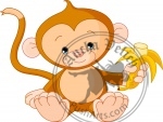 Baby Monkey eating banana