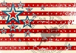 USA flag theme