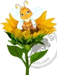 Queen Bee on Sunflower